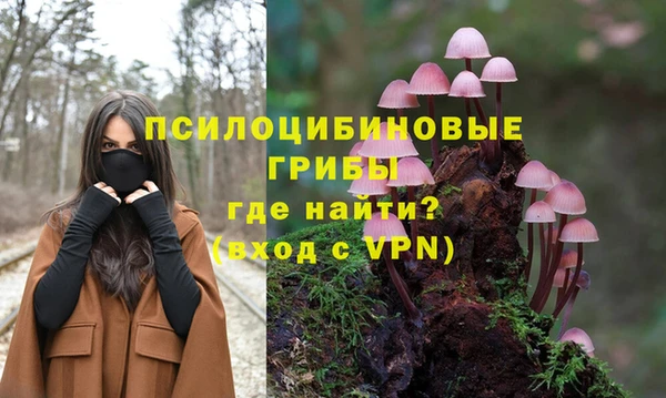стаф Горнозаводск