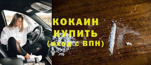 Альфа ПВП Гусев