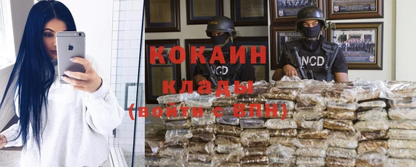 Альфа ПВП Гусев