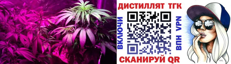 Дистиллят ТГК Wax  Архангельск 