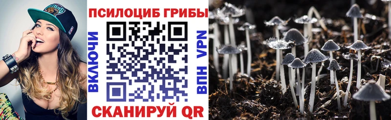 Галлюциногенные грибы Psilocybine cubensis  магазин продажи наркотиков  Архангельск 